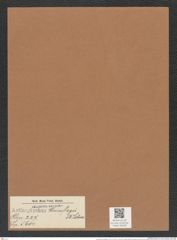 Actinoptychus weissflogii A. Schm. (de-Toni-Nr.: Genus 227, Species 5604) Zeichnungen Sammlung Grunow Mappe 05348 (Herbarium_W_Grunow_drawings_Folder_05348)